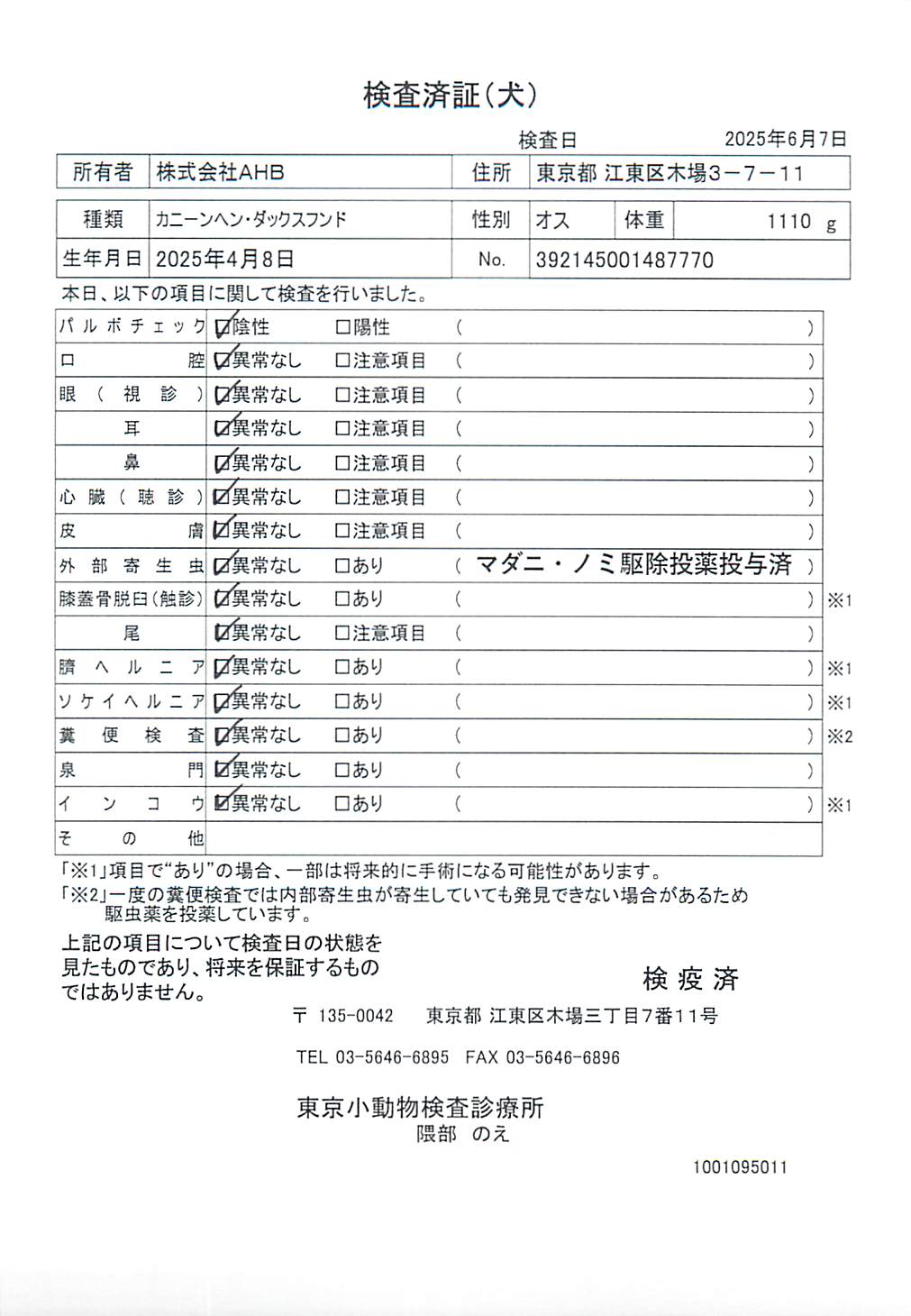 カニーンヘン・ダックスフンド
