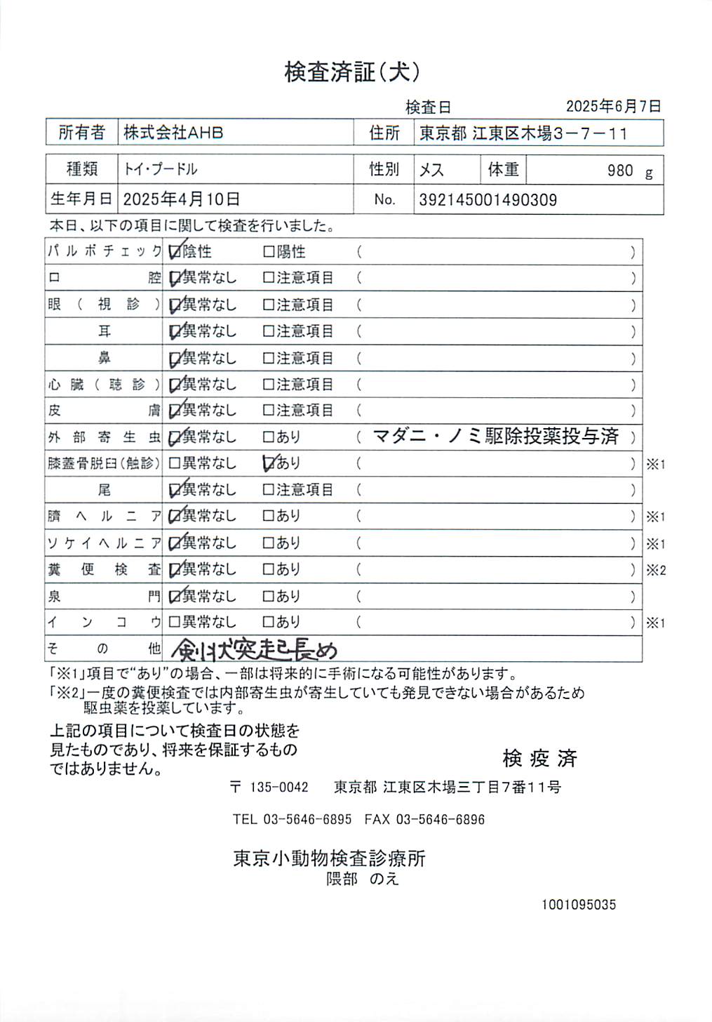 トイ・プードル