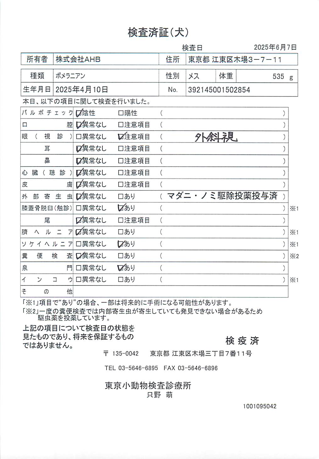 ポメラニアン