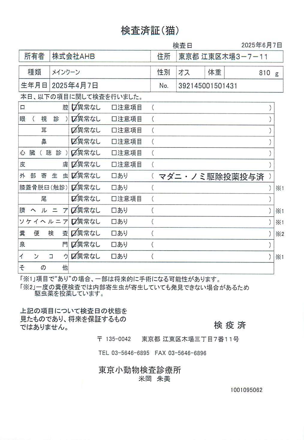 メインクーン