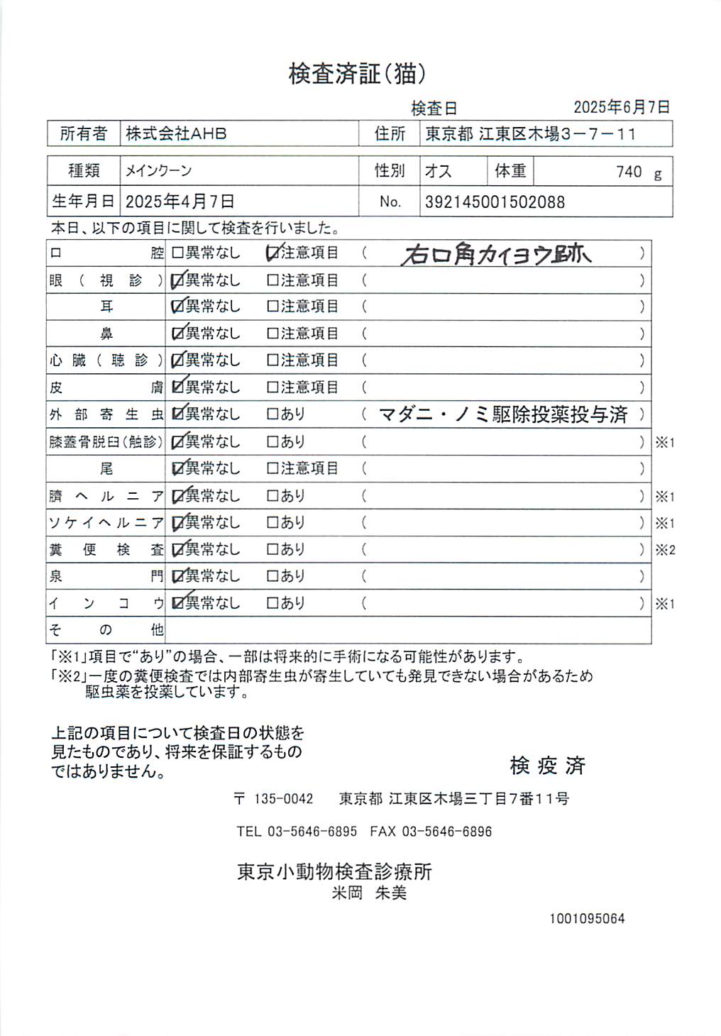 メインクーン