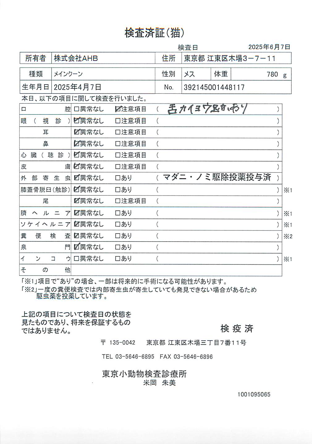 メインクーン