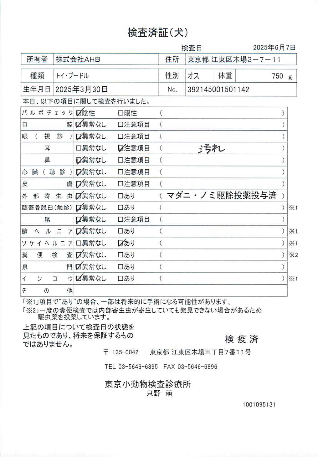 トイ・プードル