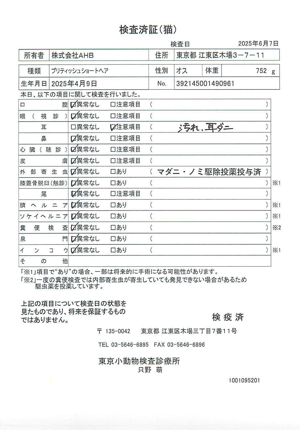 ブリティッシュショートヘア