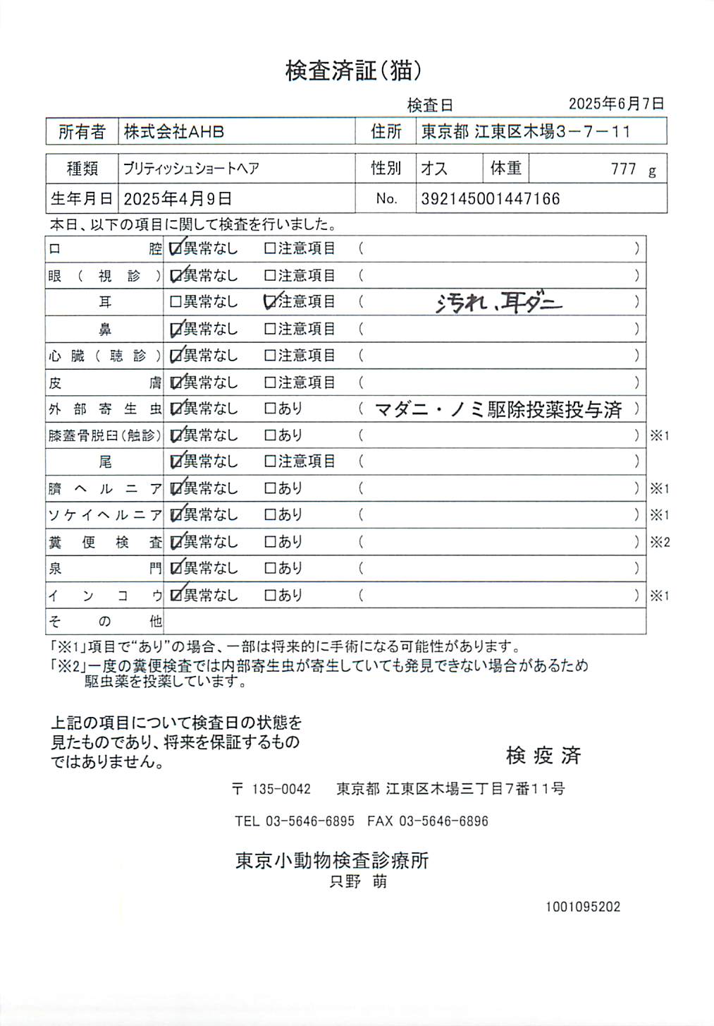 ブリティッシュショートヘア