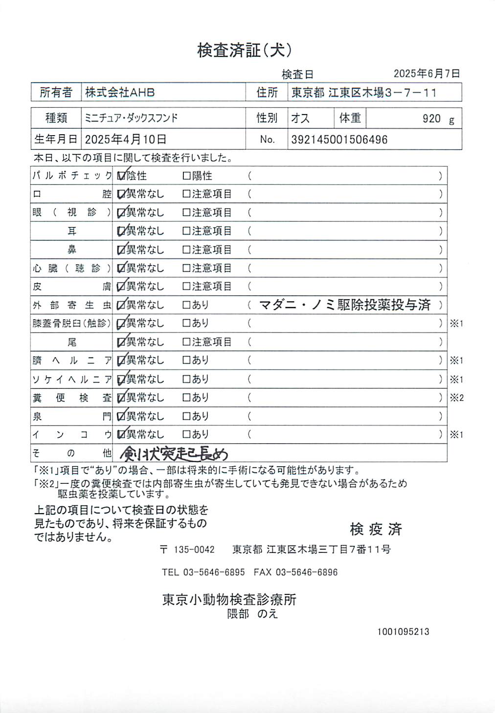 ミニチュア・ダックスフンド