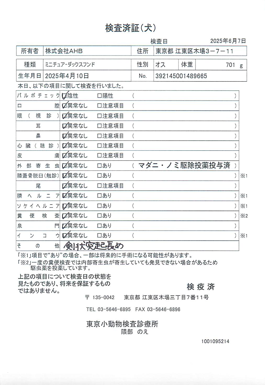 ミニチュア・ダックスフンド