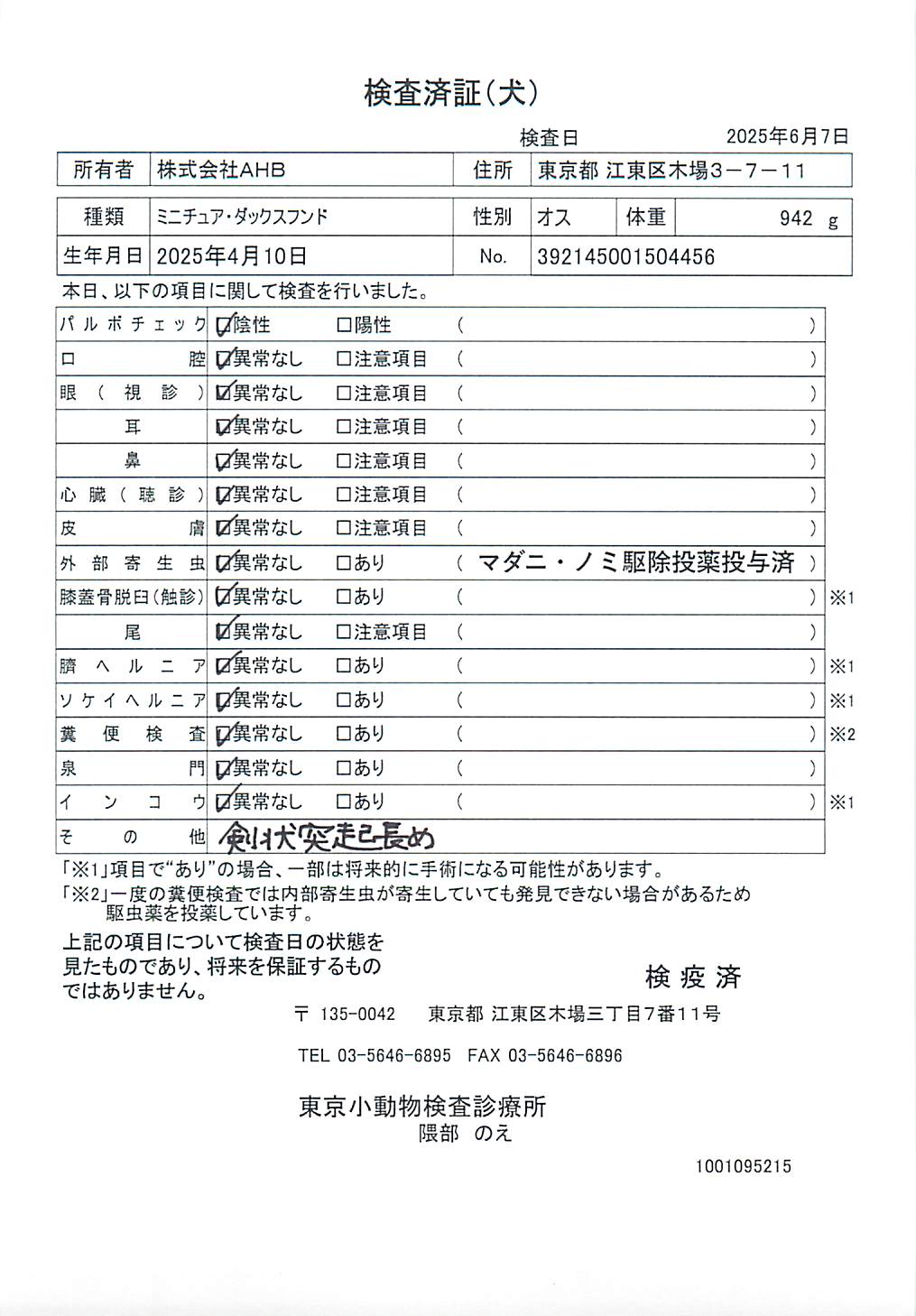 ミニチュア・ダックスフンド
