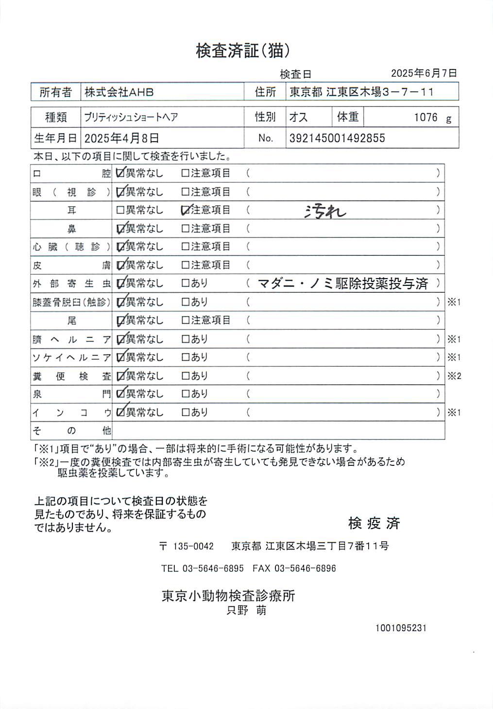 ブリティッシュショートヘア