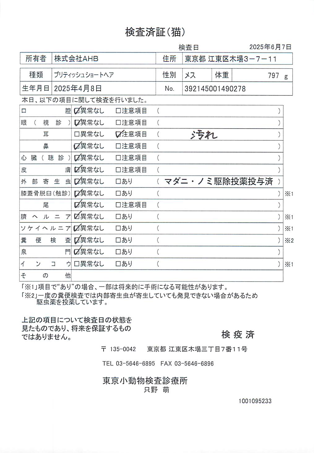 ブリティッシュショートヘア