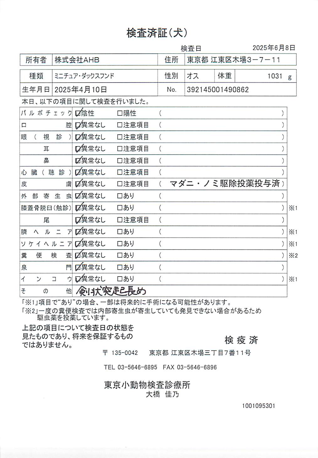 ミニチュア・ダックスフンド