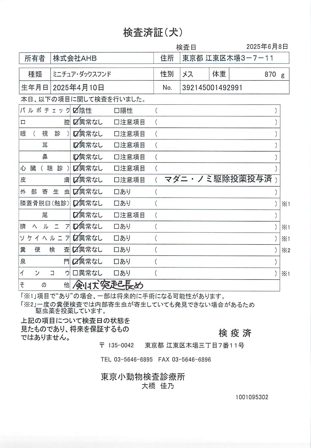 ミニチュア・ダックスフンド