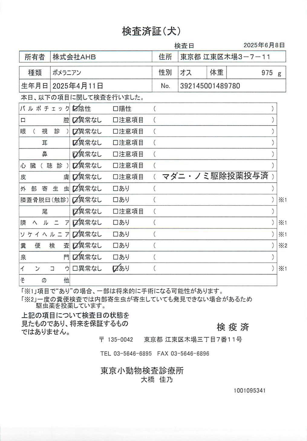 ポメラニアン