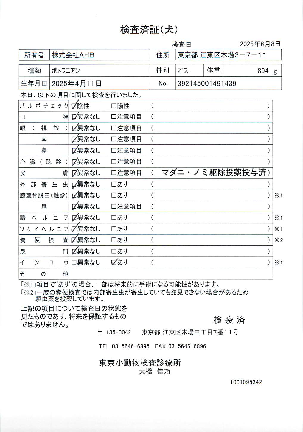 ポメラニアン