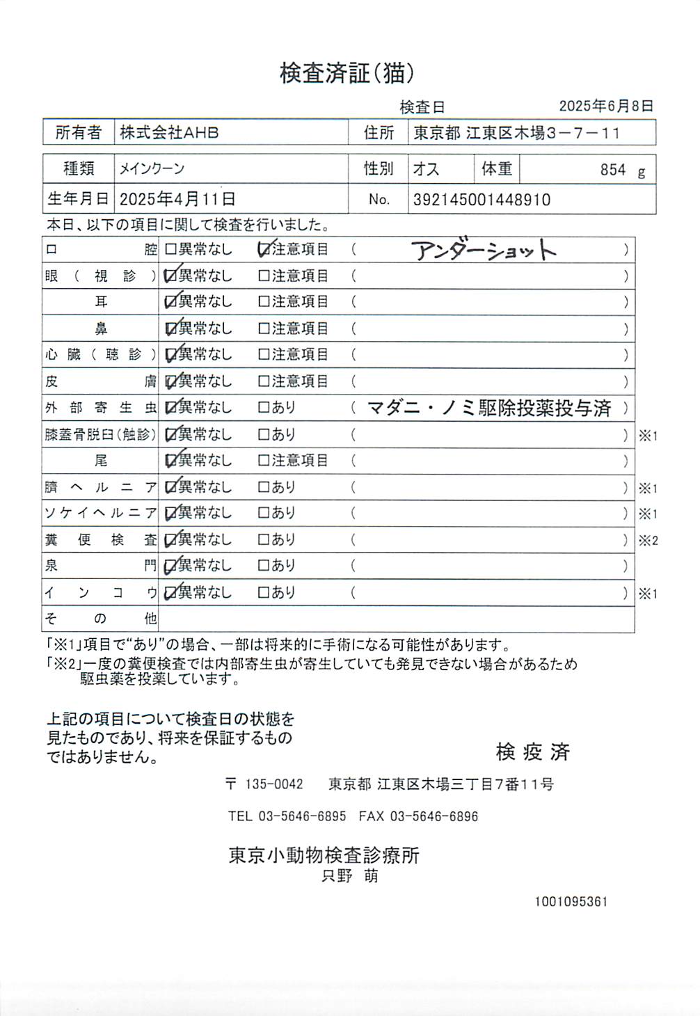 メインクーン