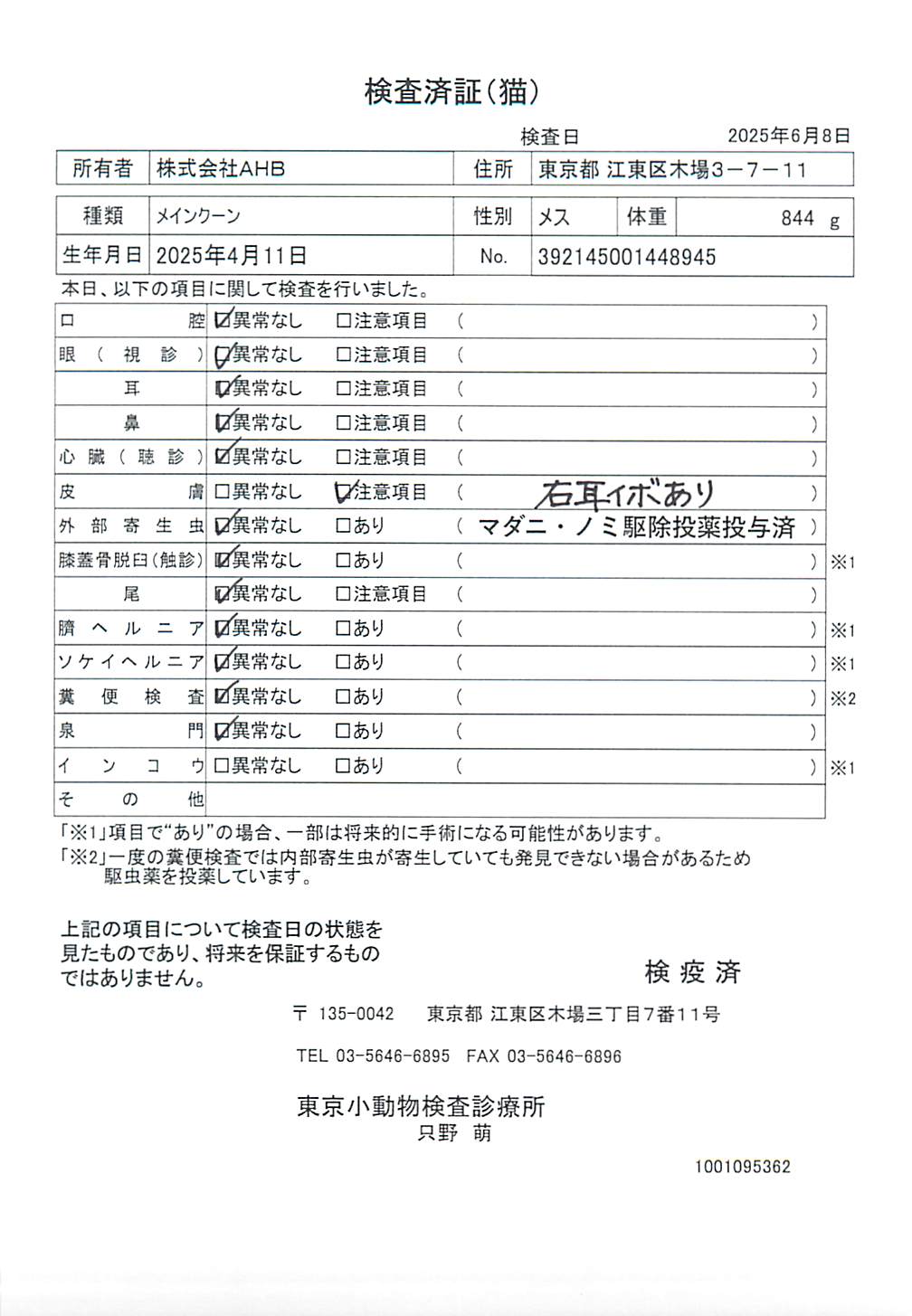 メインクーン