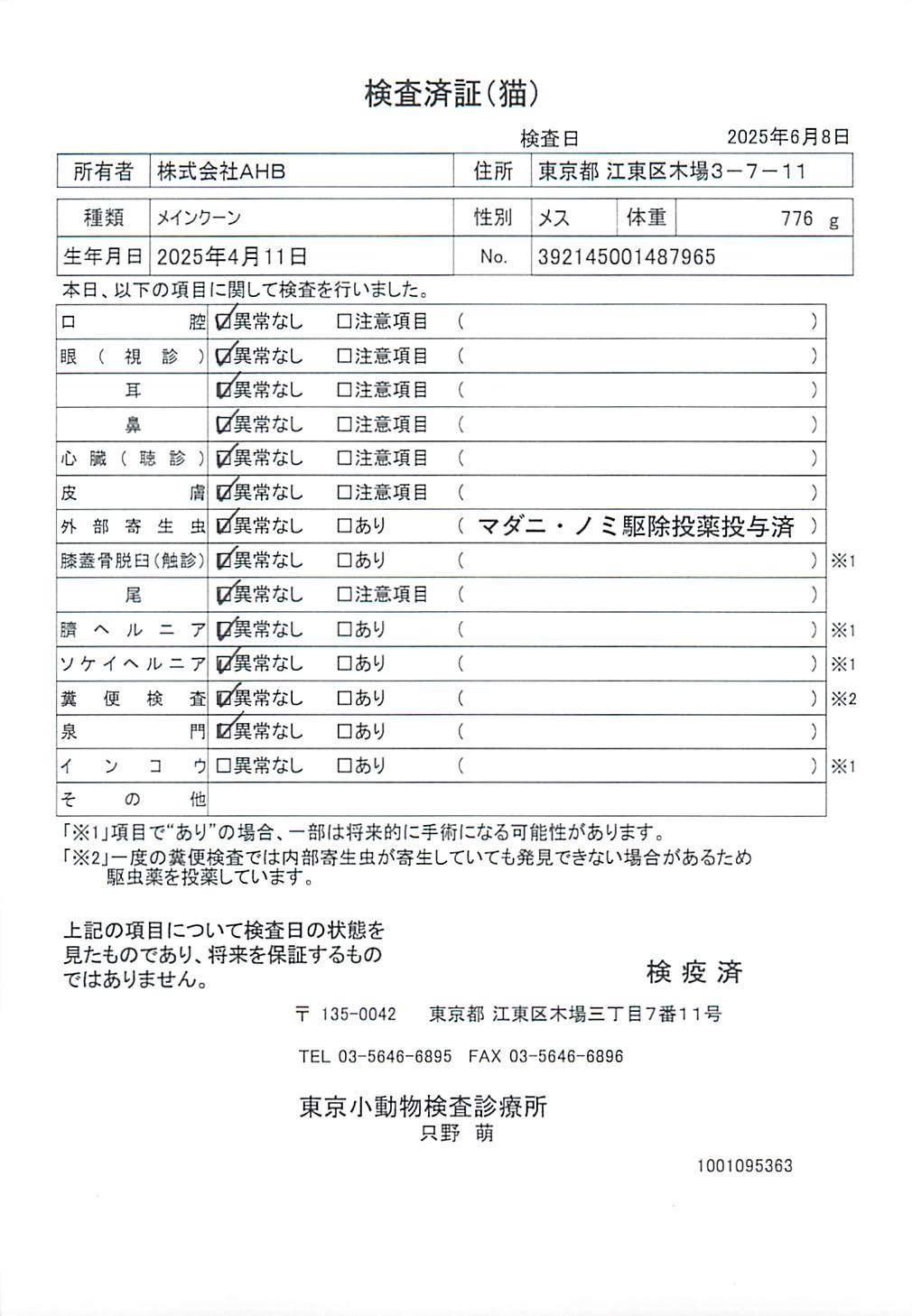 メインクーン