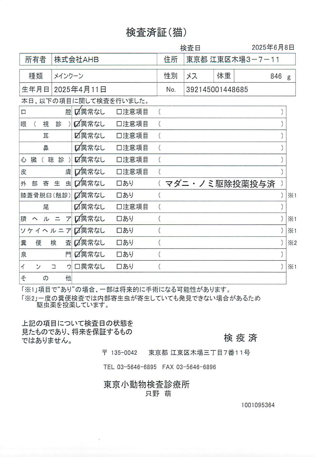 メインクーン