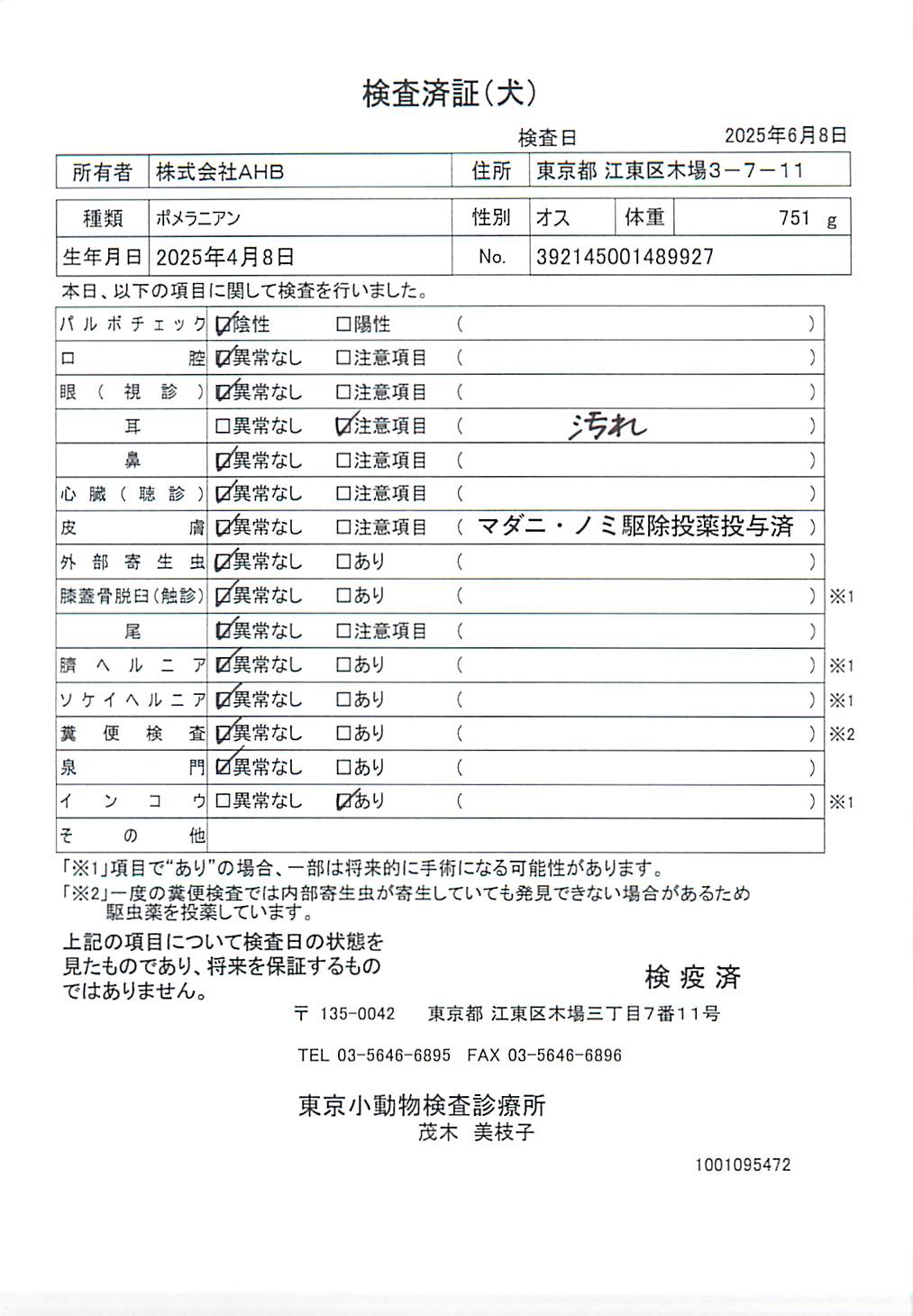 ポメラニアン