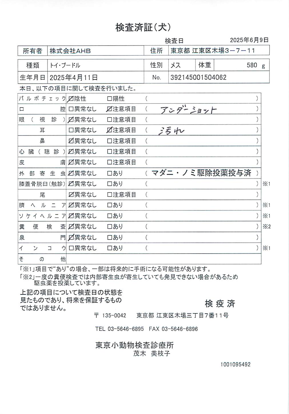 トイ・プードル