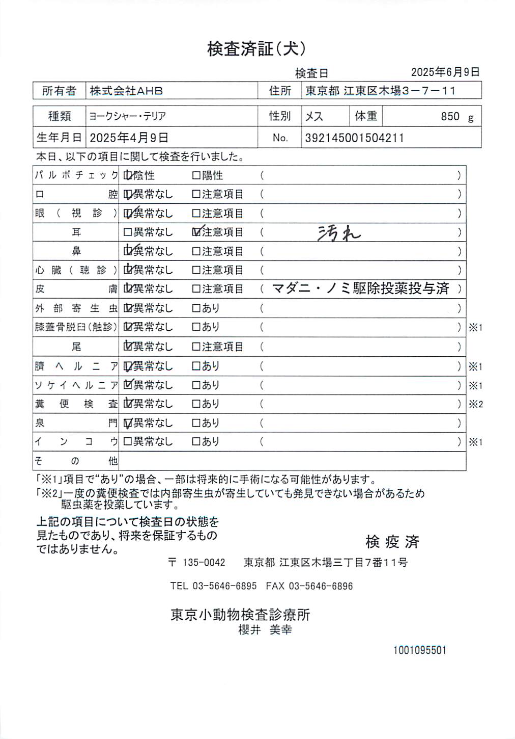 ヨークシャー・テリア