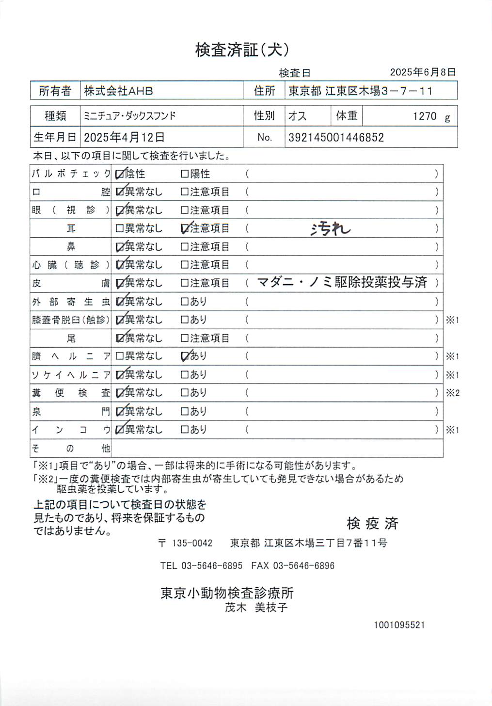 ミニチュア・ダックスフンド