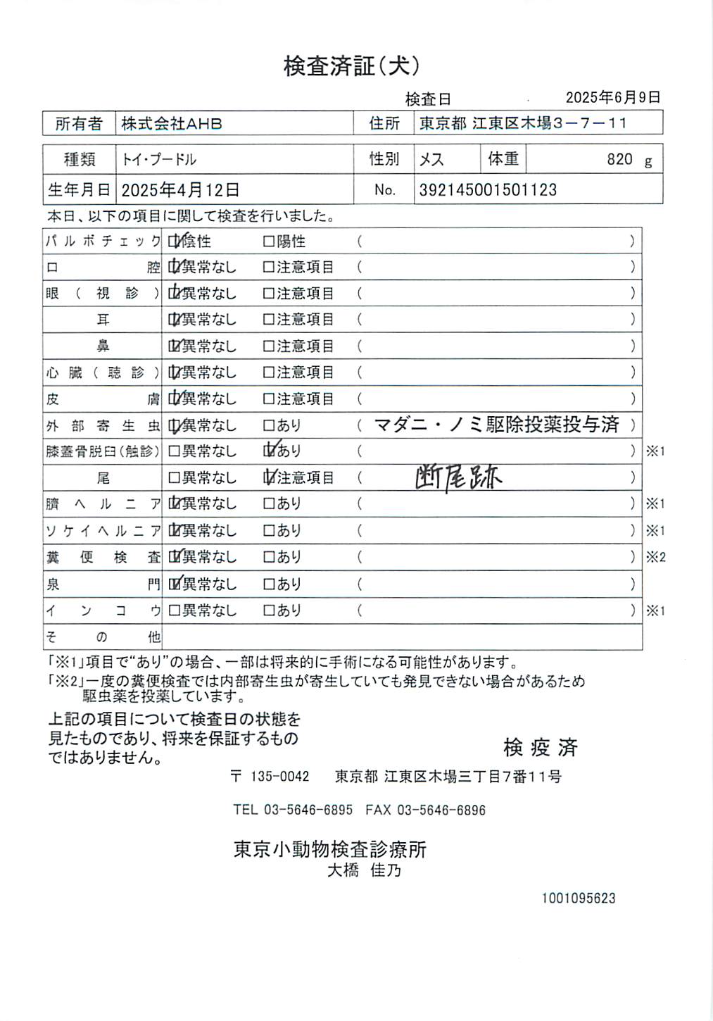 トイ・プードル