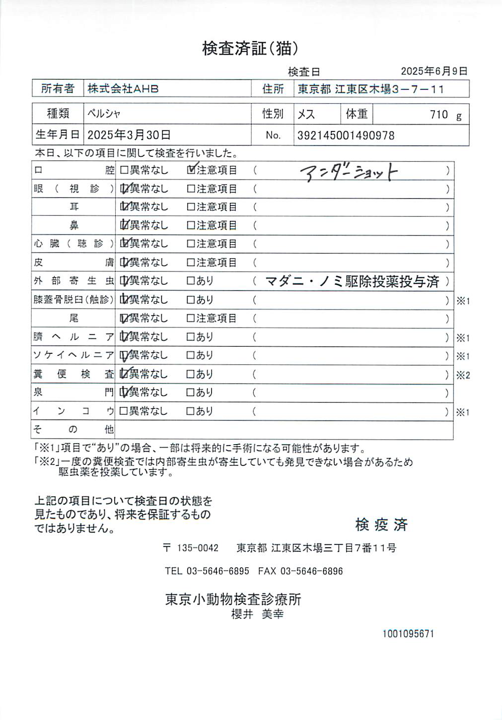 ペルシャ