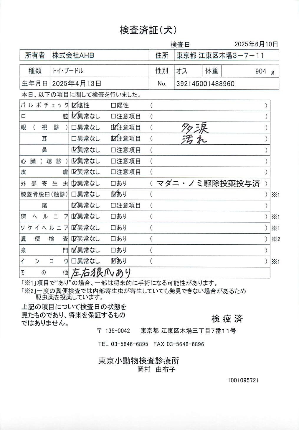 トイ・プードル
