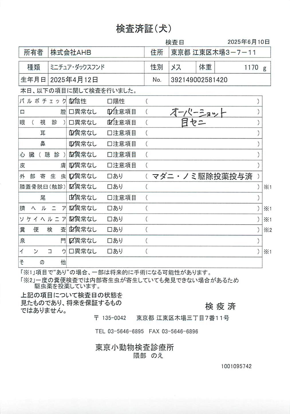 ミニチュア・ダックスフンド