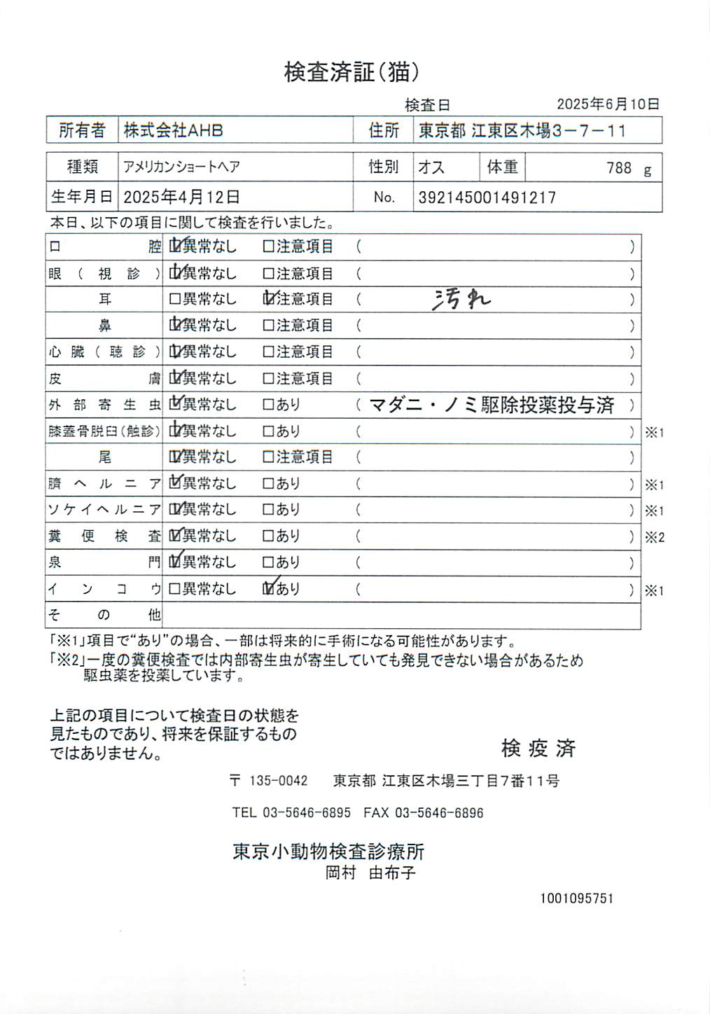 アメリカンショートヘア