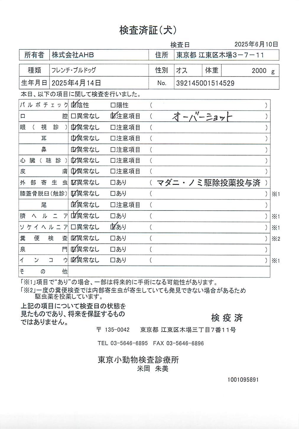 フレンチ・ブルドッグ