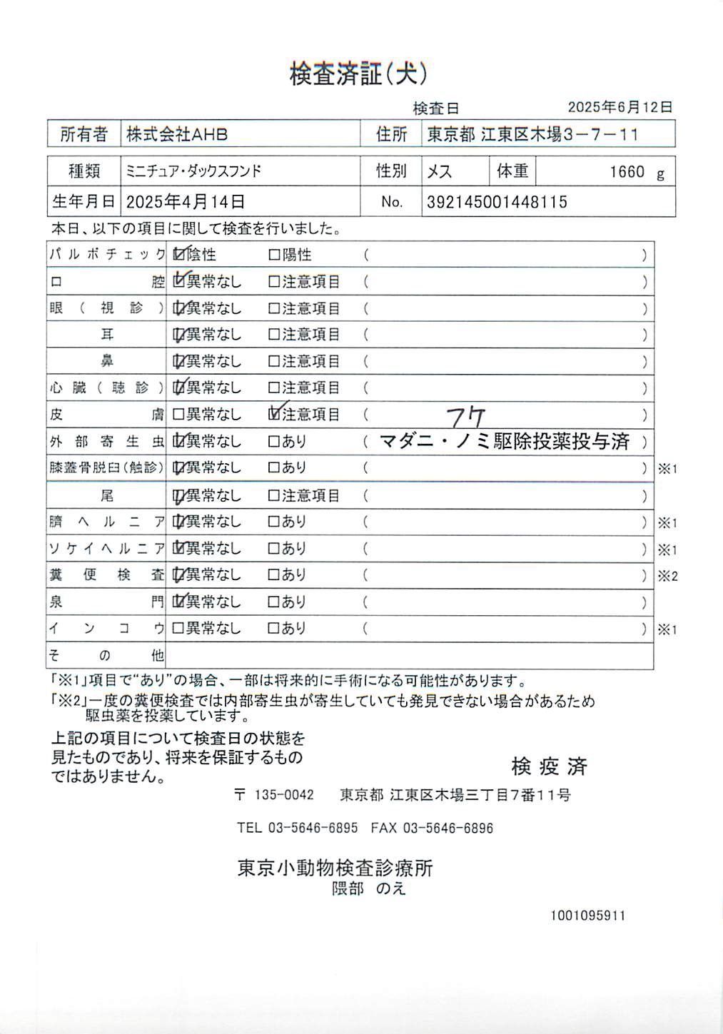 ミニチュア・ダックスフンド
