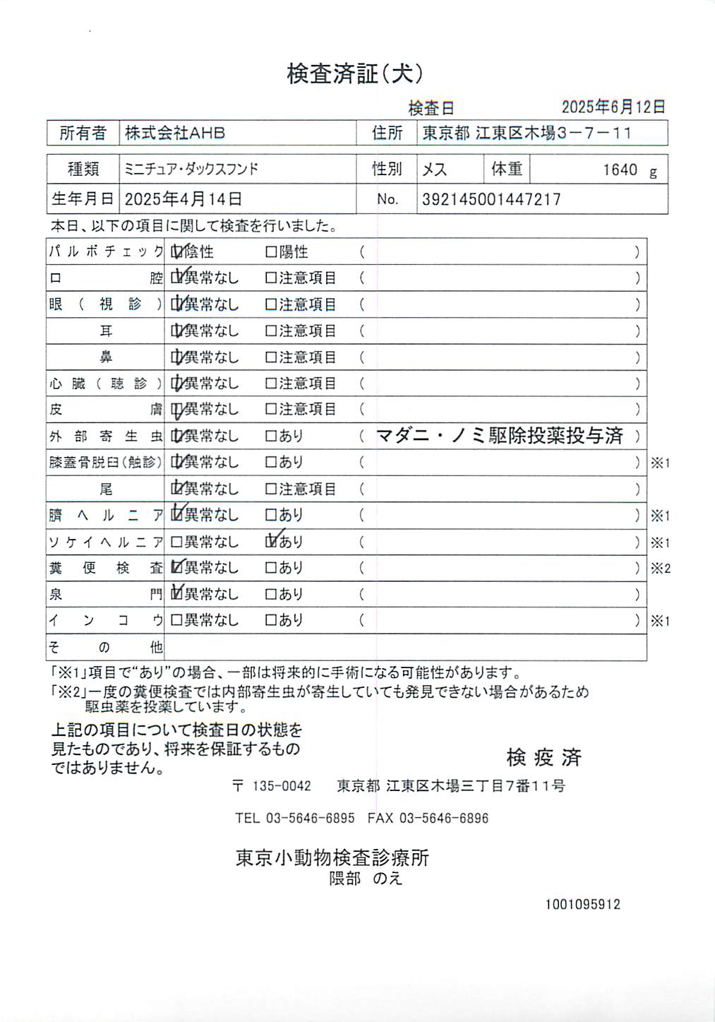 ミニチュア・ダックスフンド