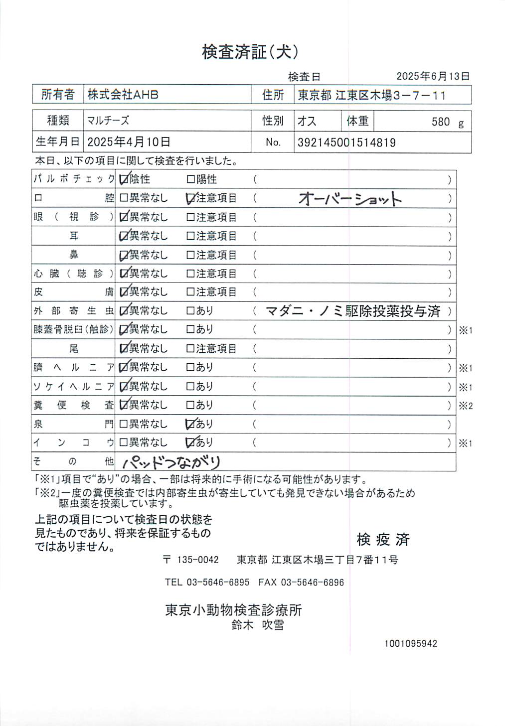 マルチーズ