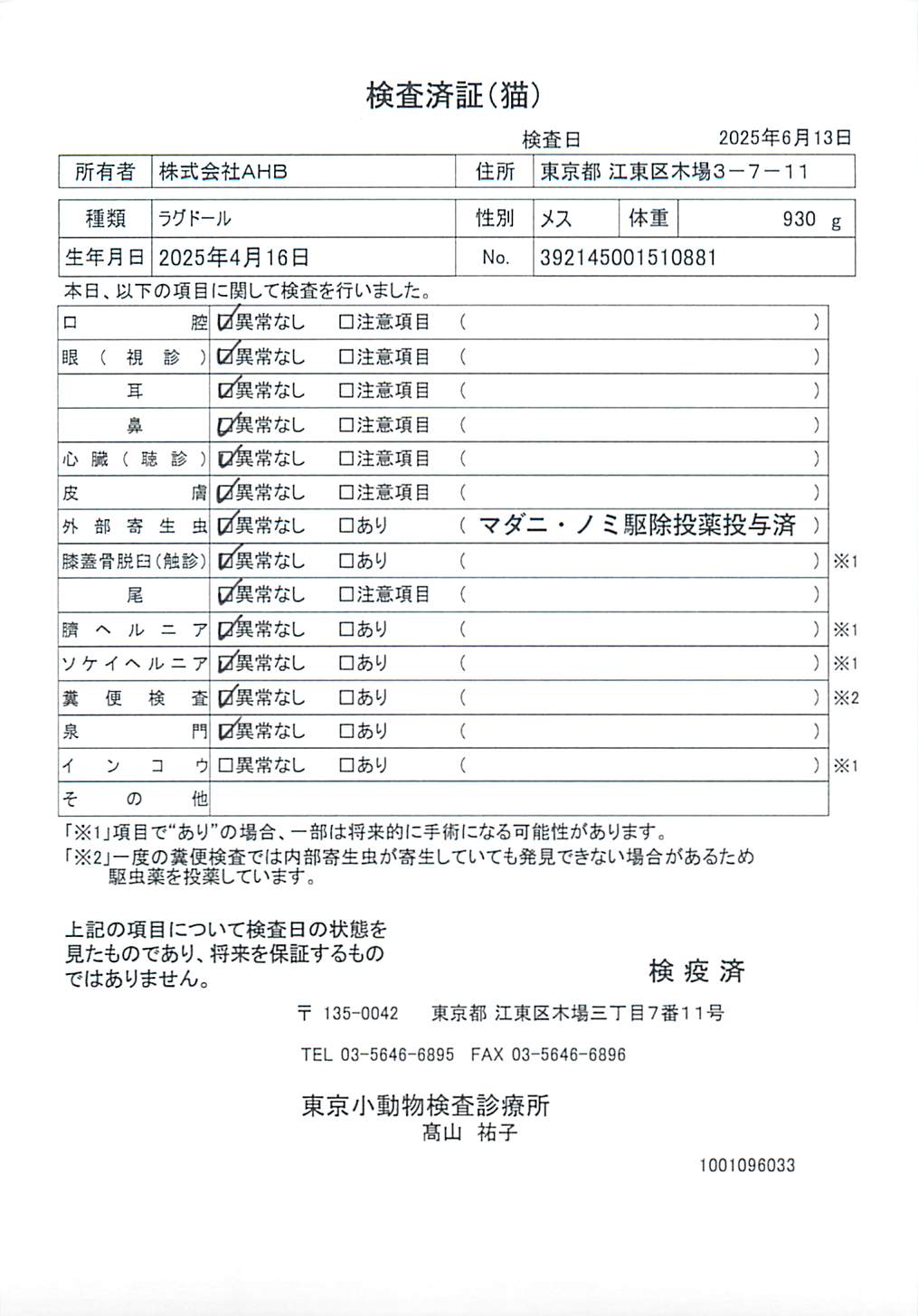 ラグドール