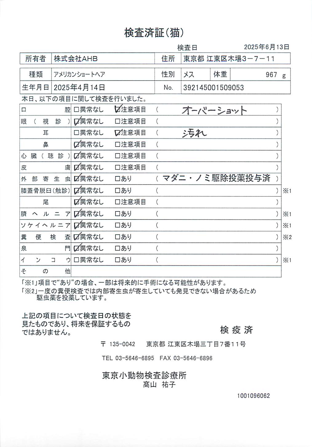 アメリカンショートヘア