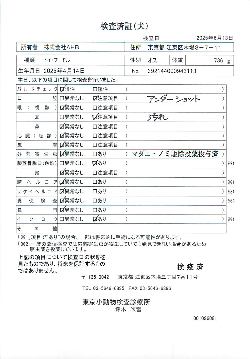 トイ・プードル