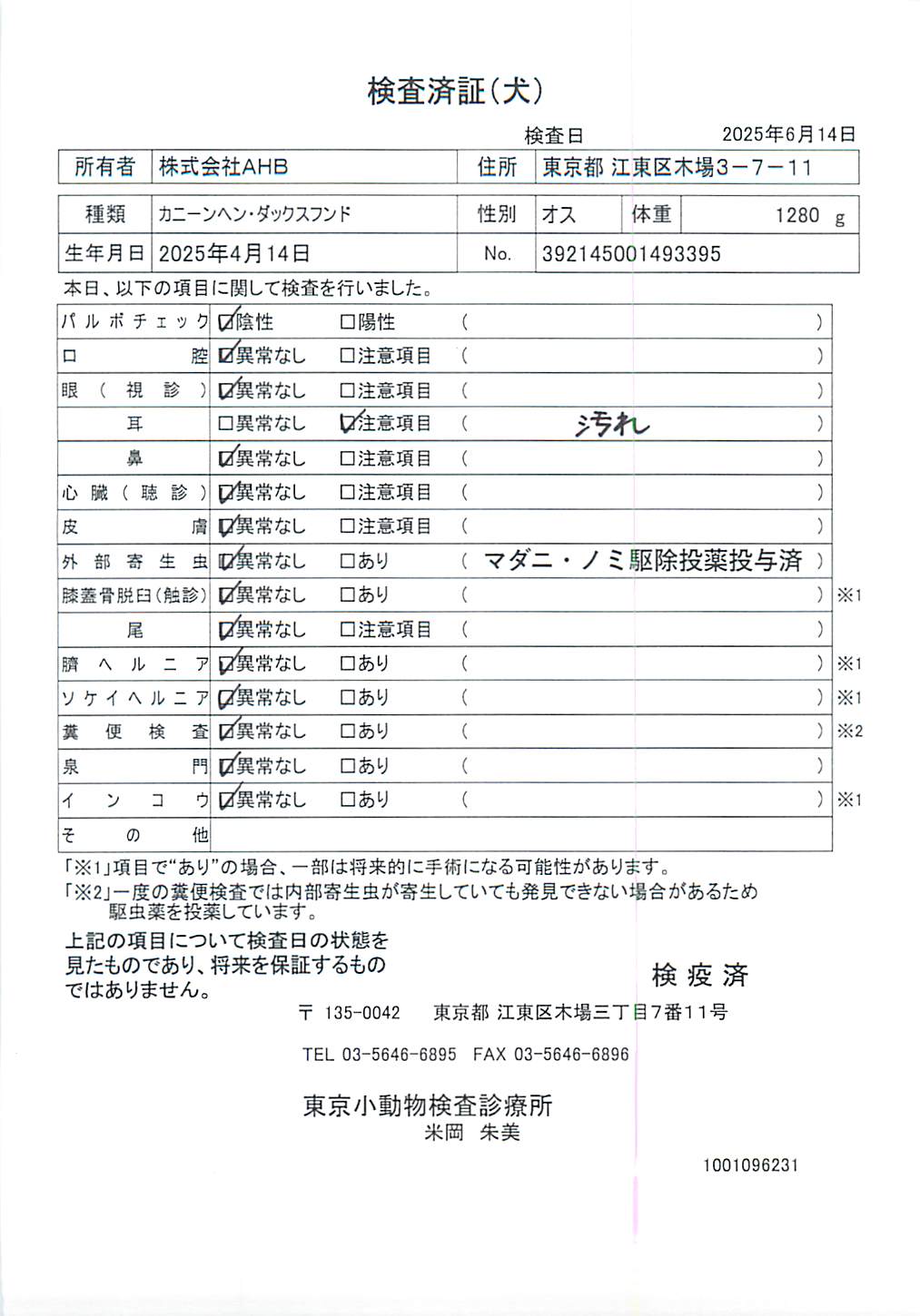 カニーンヘン・ダックスフンド