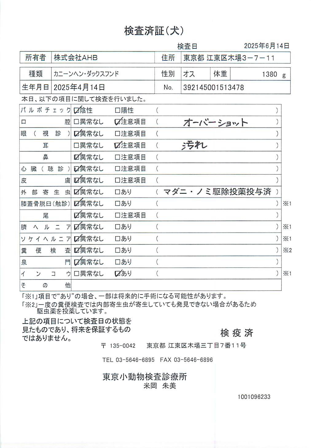 カニーンヘン・ダックスフンド