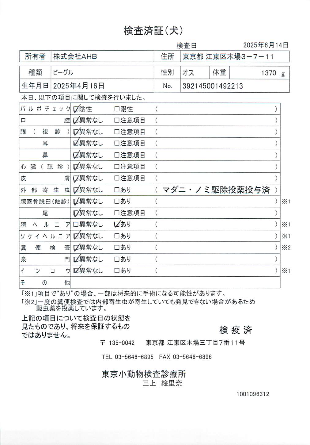ビーグル