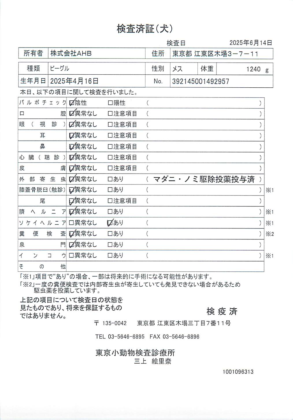 ビーグル