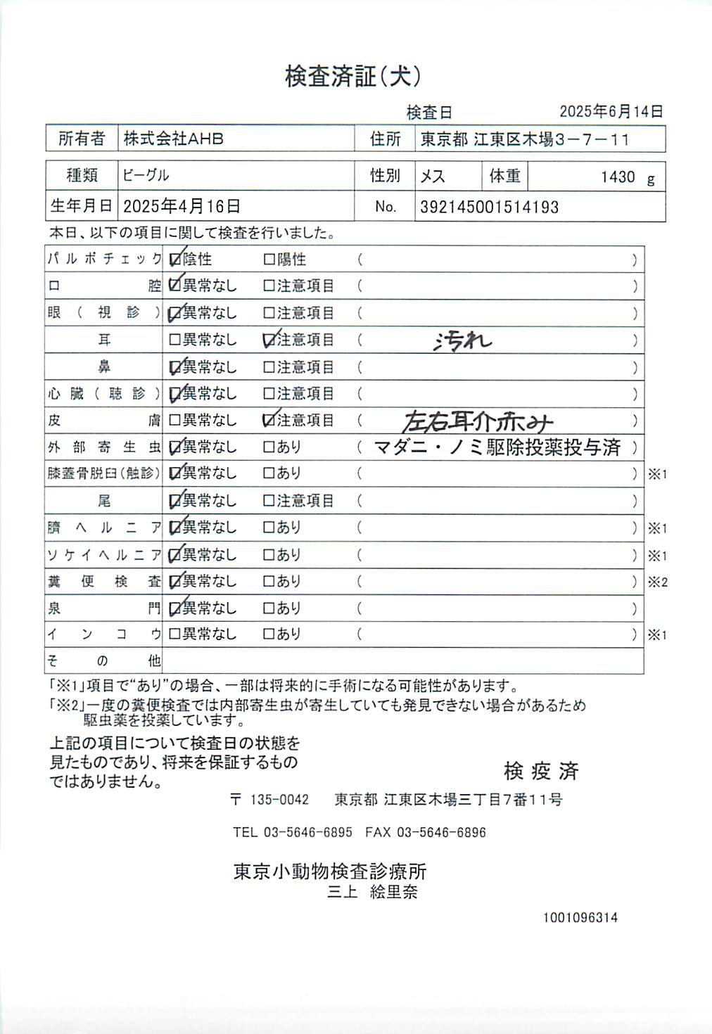 ビーグル