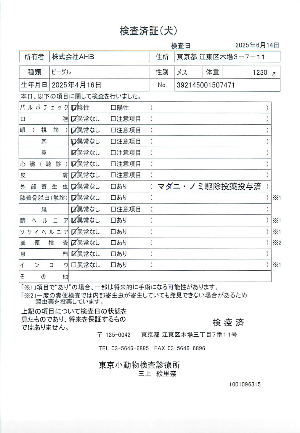 ビーグル