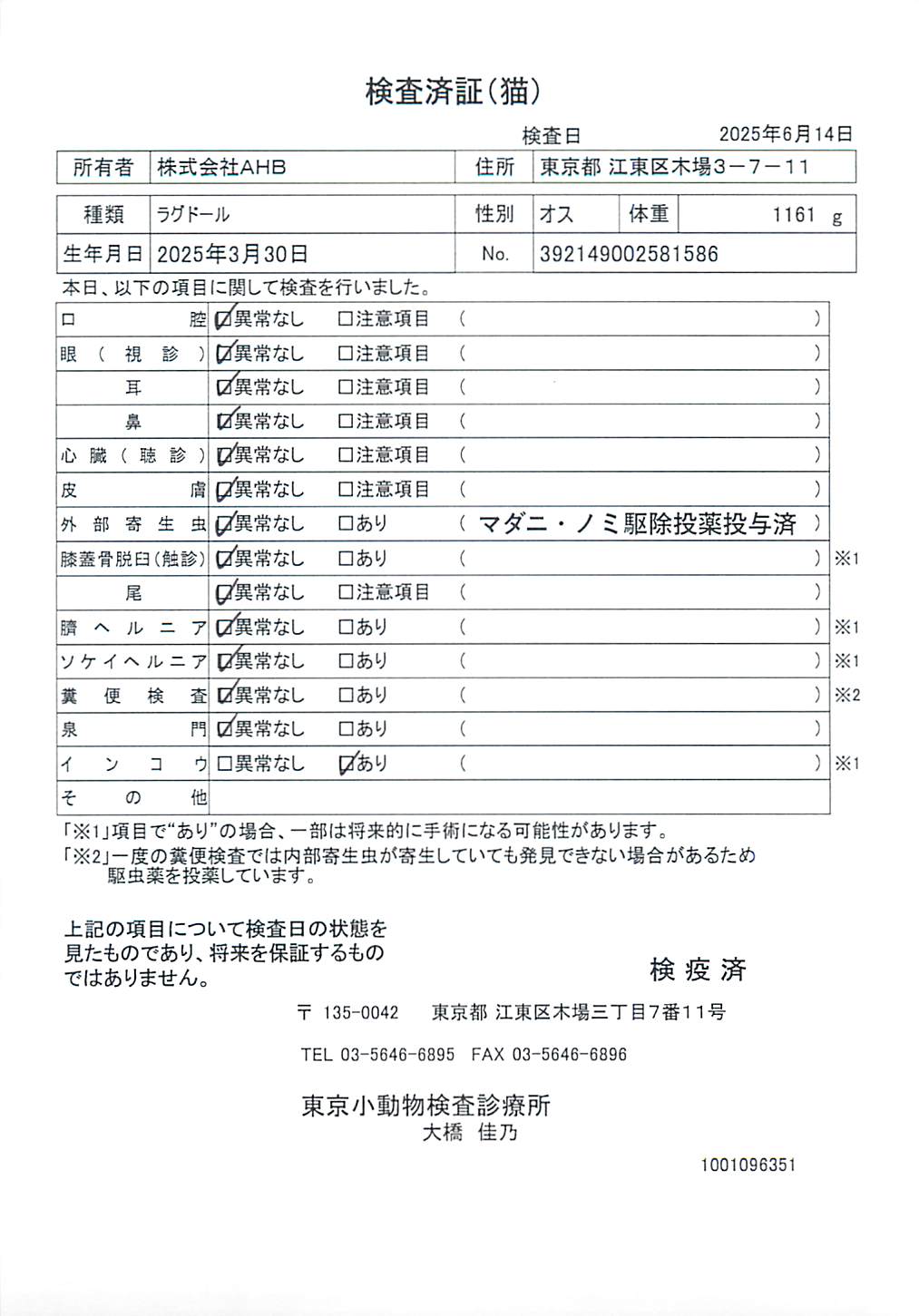ラグドール