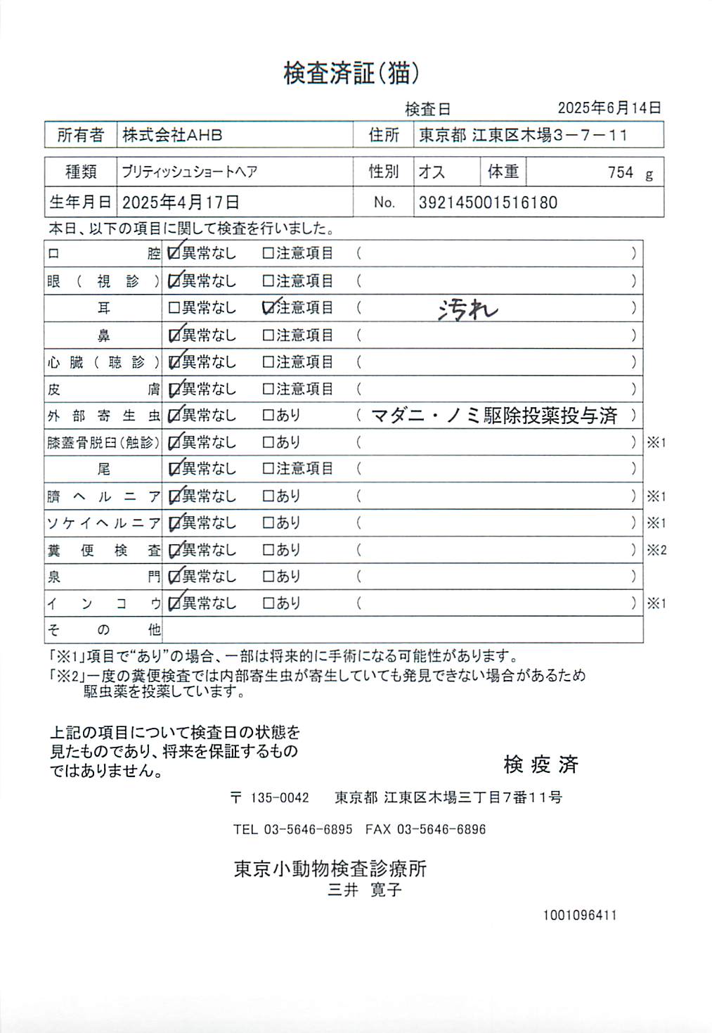 ブリティッシュショートヘア
