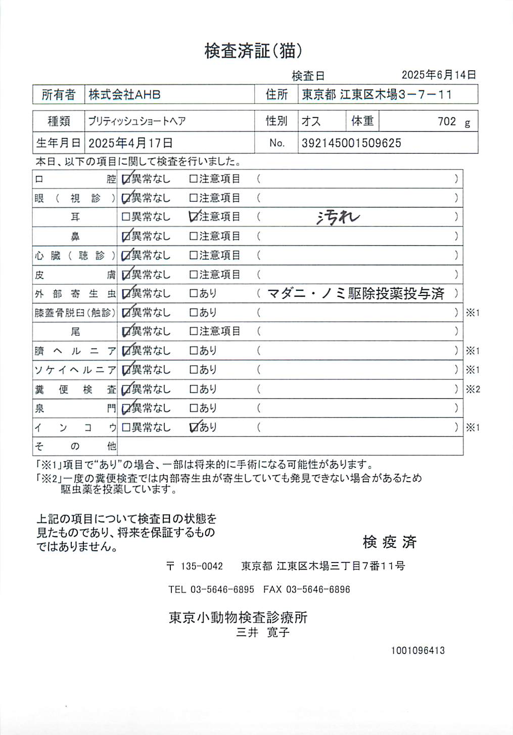 ブリティッシュショートヘア