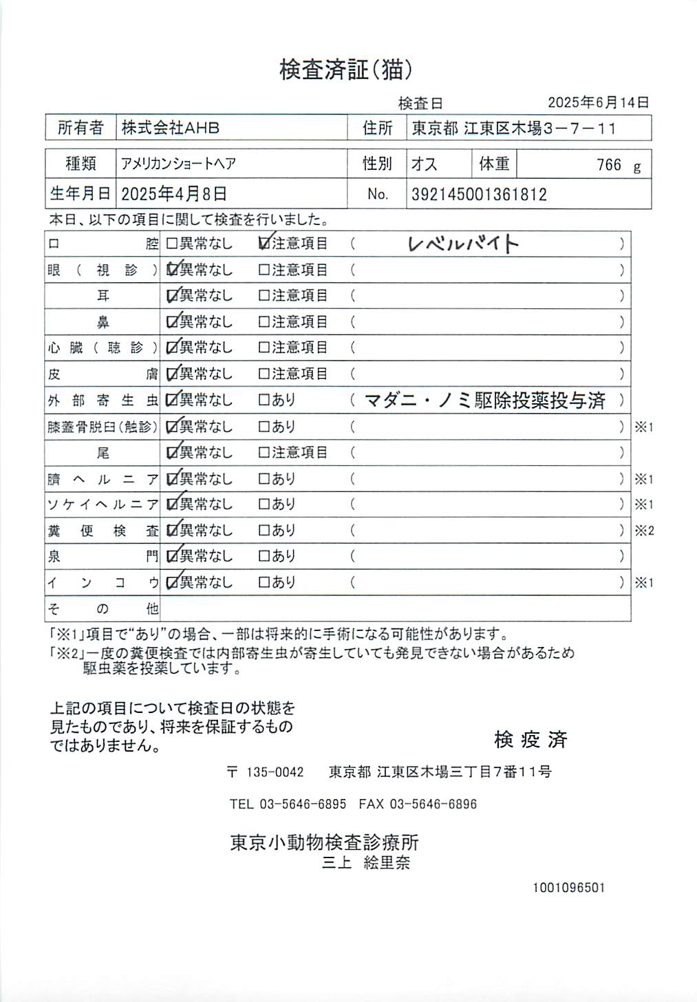 アメリカンショートヘア