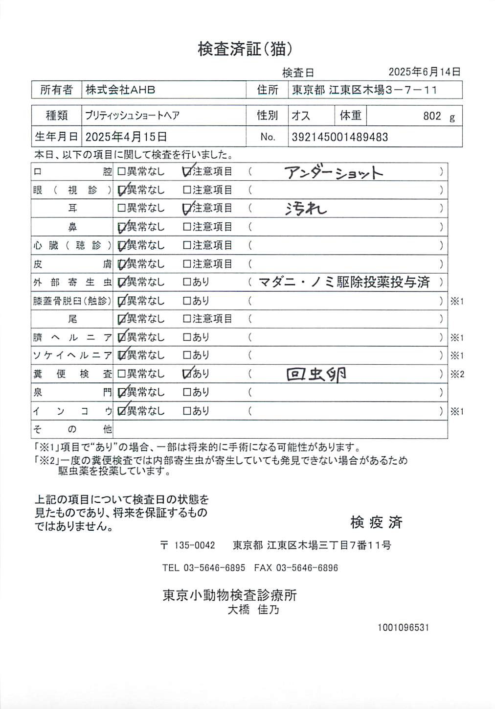 ブリティッシュショートヘア
