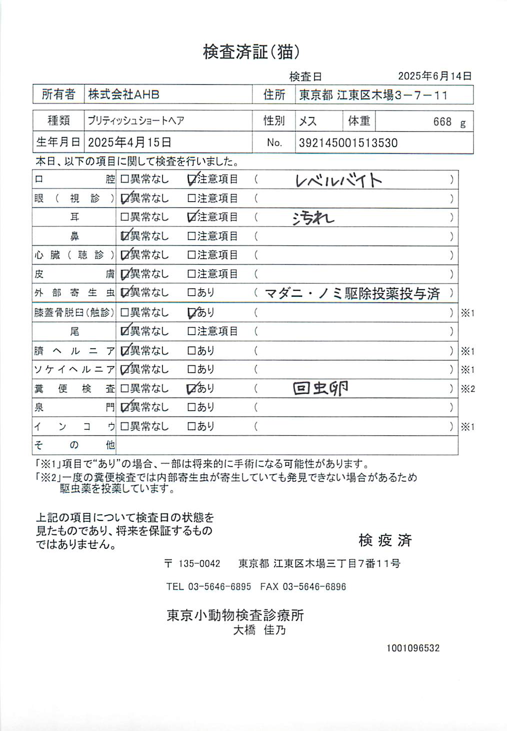 ブリティッシュショートヘア